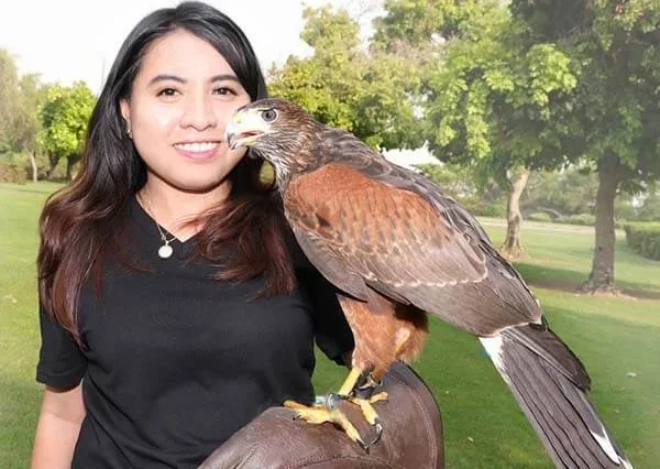 Exotic Bird Show Ticket
