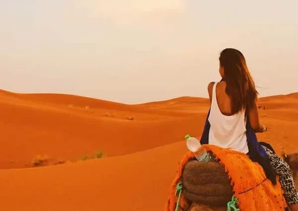 Camel Ride in Dubai
