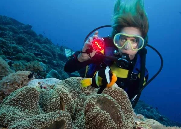 Scuba Diving Dubai