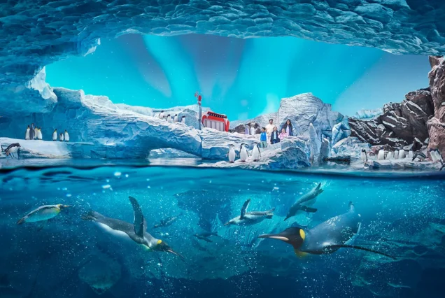 SeaWorld Abu Dhabi Tickets
